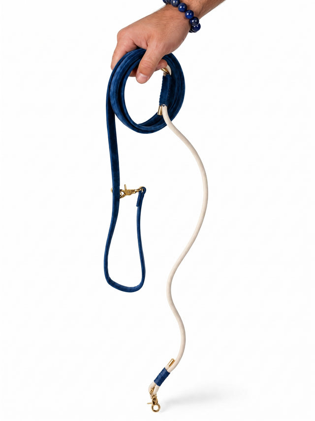 Blue Velvet Dog Leash