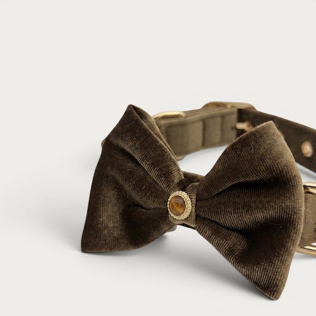 Tiger Eye Pet Collar