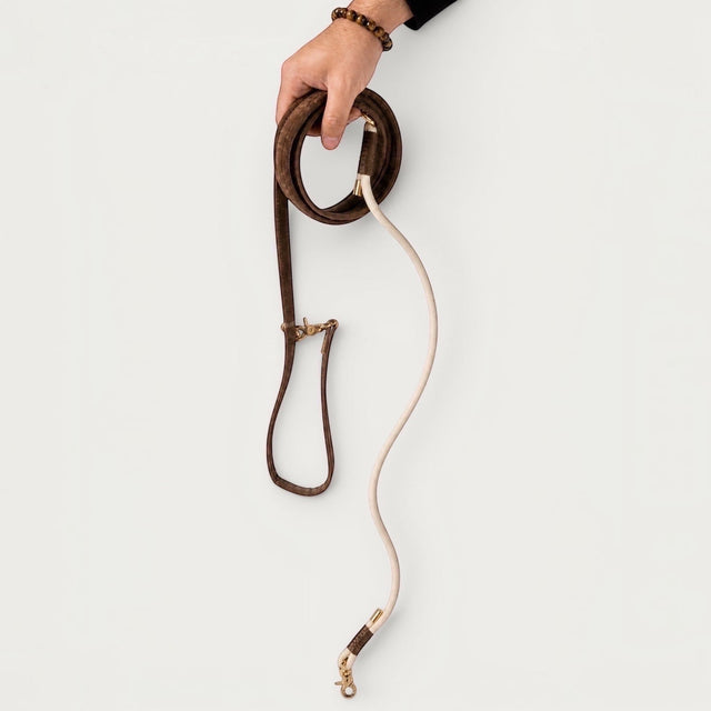 Laisse pour chien en velours marron