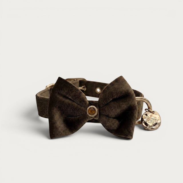 Tiger Eye Pet Collar