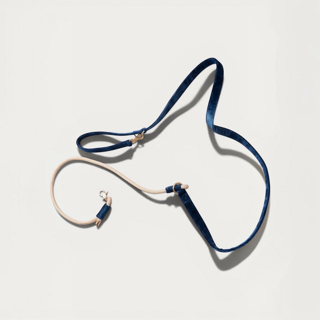 Laisse pour chien en velours bleu