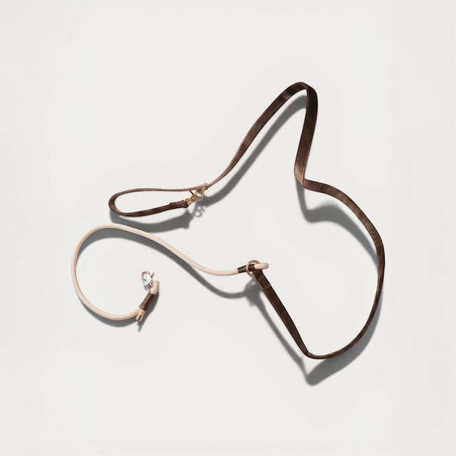 Laisse pour chien en velours marron