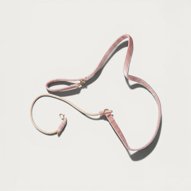 Laisse pour chien en velours rose