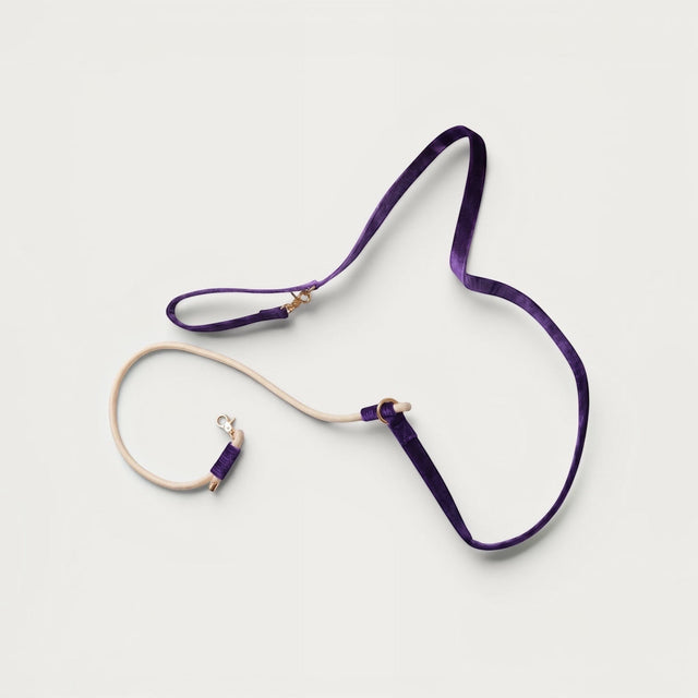 Laisse de chien en velours violet
