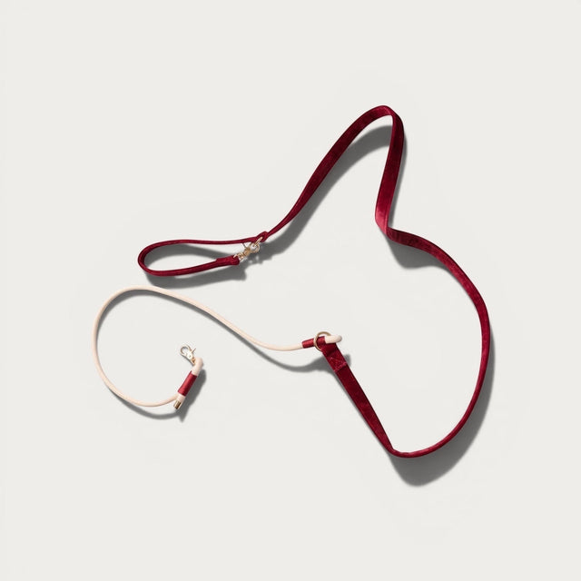Laisse pour chien en velours rouge