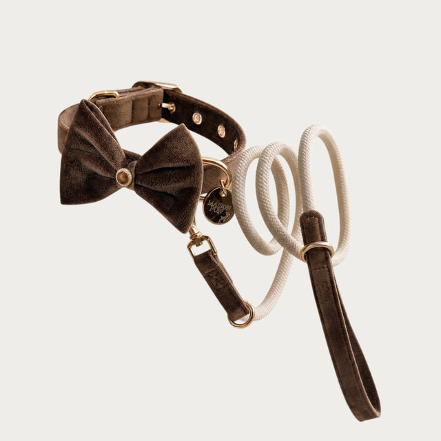 Maison Pupa brown velvet dog collar with bow tie and matching cream rope leash featuring gold-tone hardware.