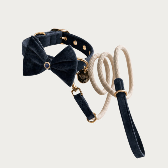 Maison Pupa navy velvet dog collar with bow tie and matching cream rope leash featuring gold-tone hardware