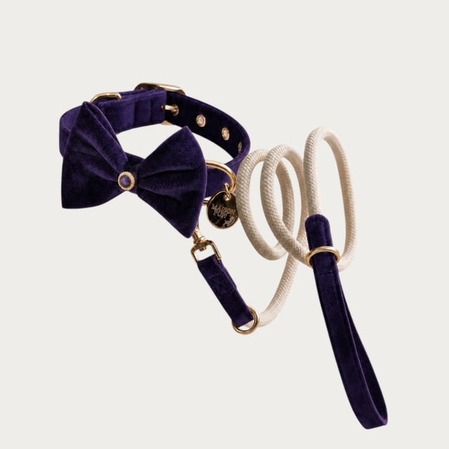 Maison Pupa purple velvet dog collar with bow tie and matching cream rope leash with velvet handle and gold hardware.