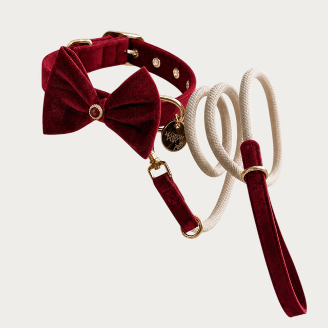 Maison Pupa red velvet dog leash with cream rope body and gold hardware, paired with a matching bow tie collar.