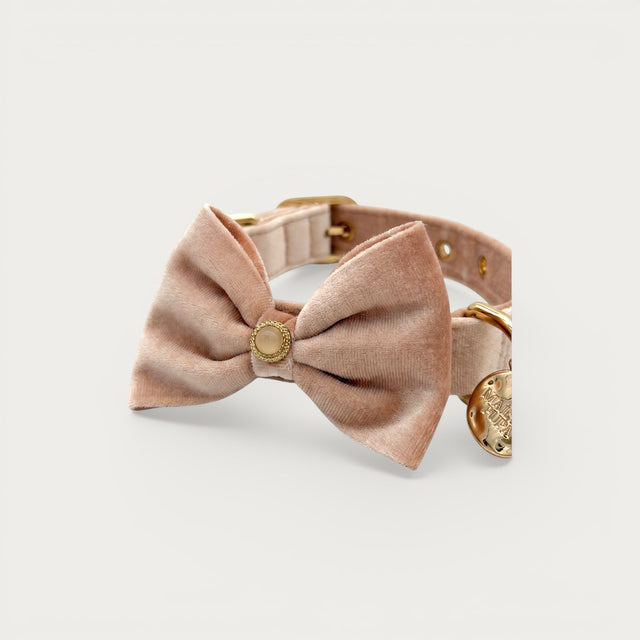 Rose quartz crystal pet collar