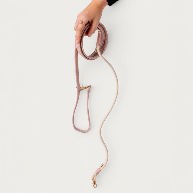 Laisse pour chien en velours rose