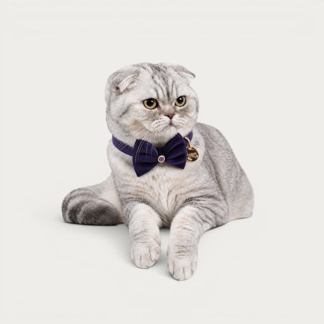 Amethyst Pet Collar