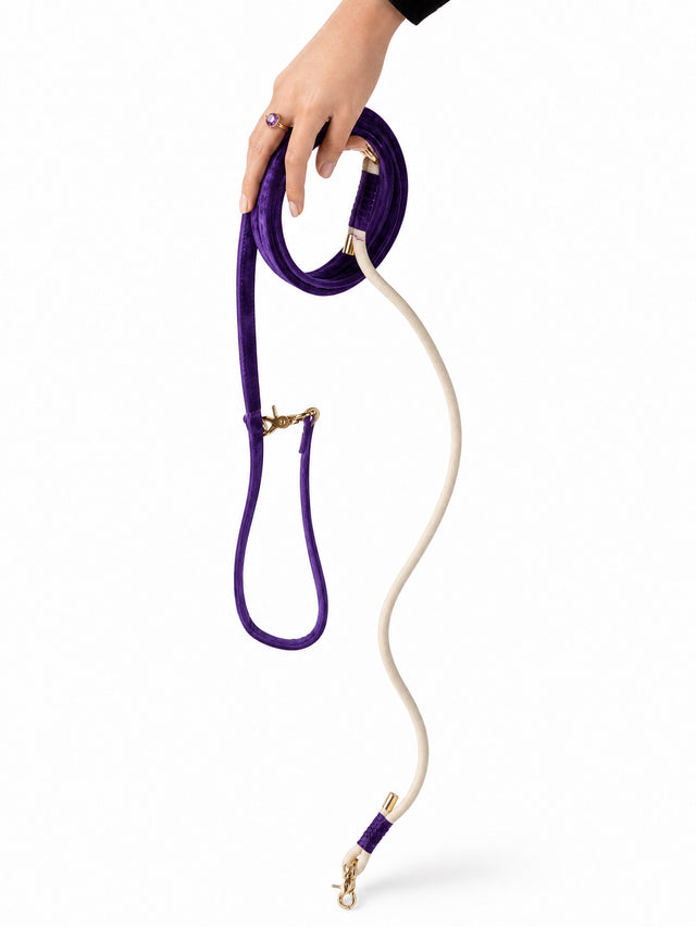 Purple Velvet Dog Leash
