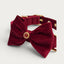 Red Agate Pet Collar