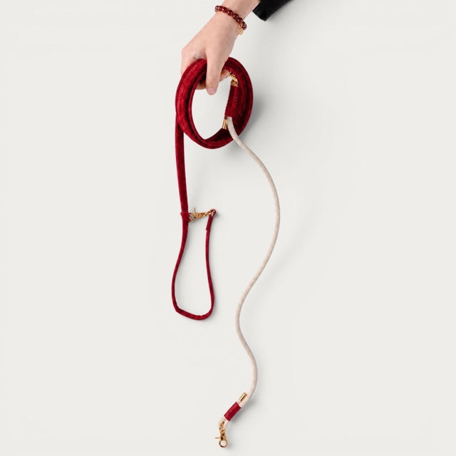 Laisse pour chien en velours rouge