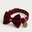 Red Agate Pet Collar