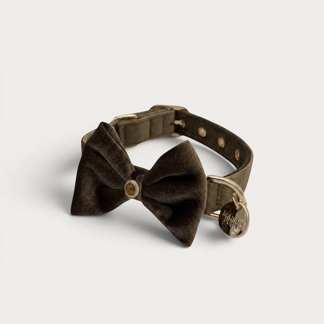 Tiger Eye Pet Collar