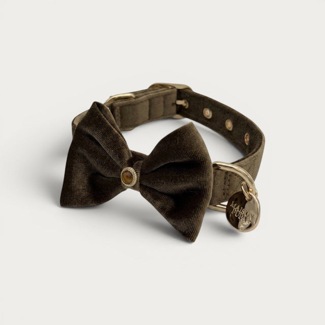 Tiger Eye Pet Collar